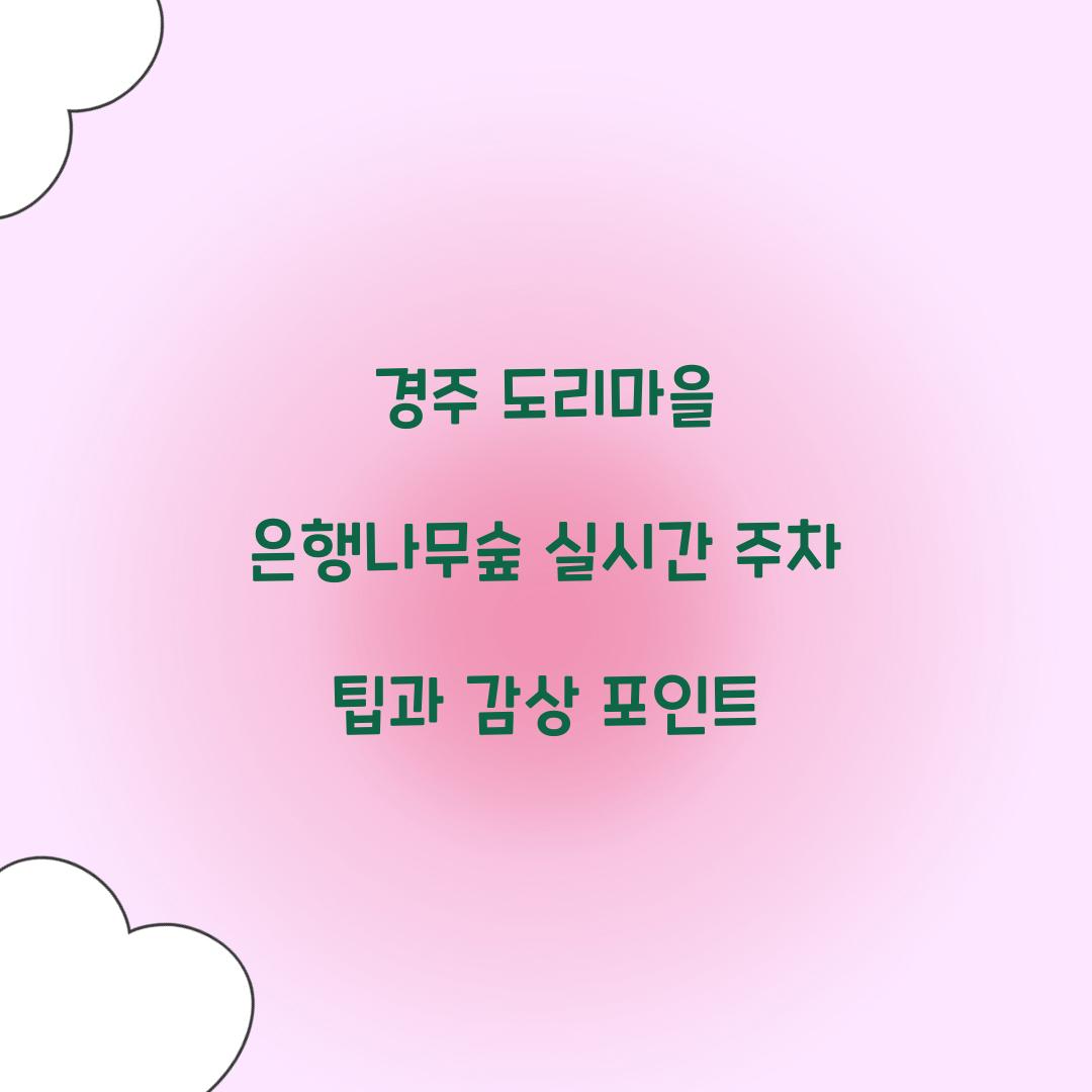 경주 도리마을 은행나무숲