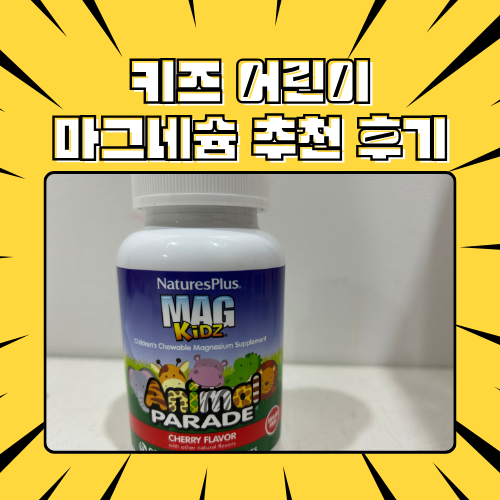 어린이 키즈 유아 초등학생 마그네슘 영양제 추천