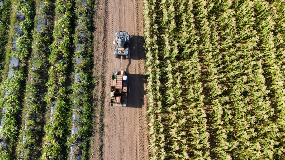 Agriculture