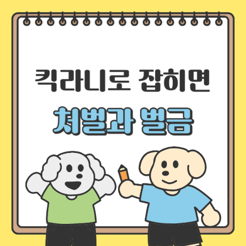 킥라니 벌금