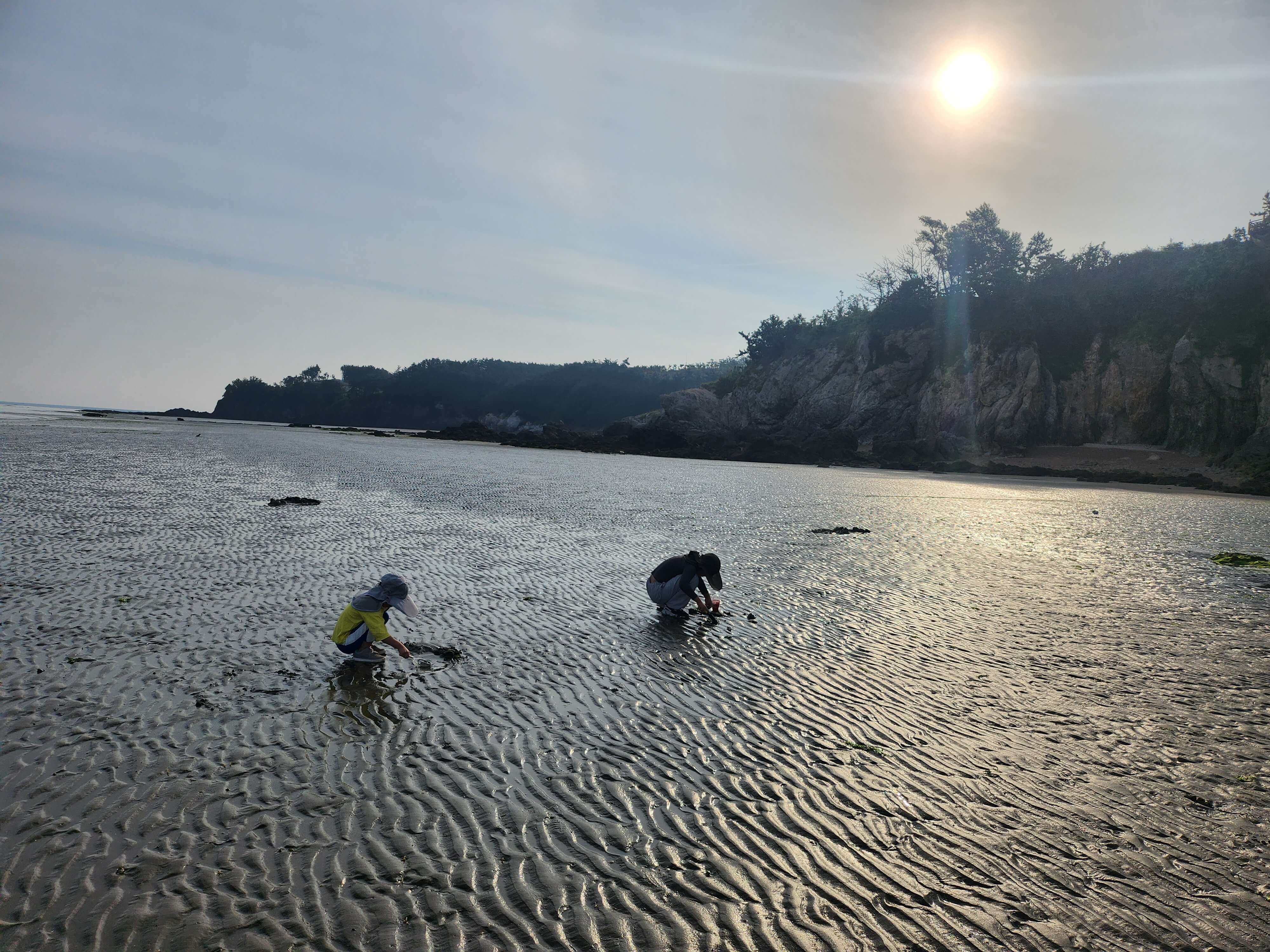 서해안 갯벌체험 명소 추천
