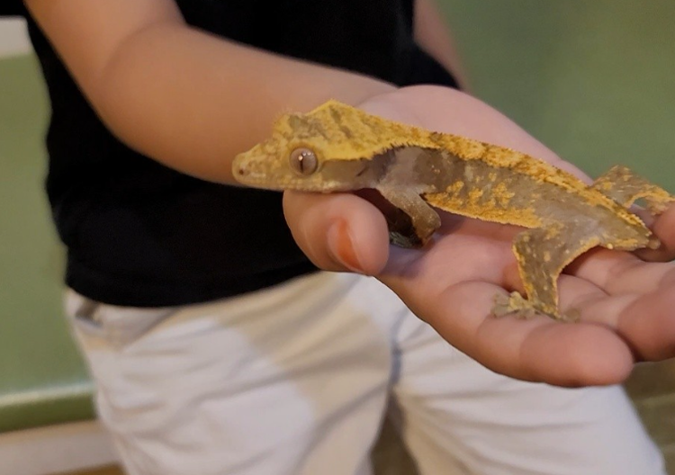 센트럴 곤충 생태농장