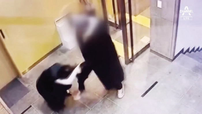 배현진 피습 후유증