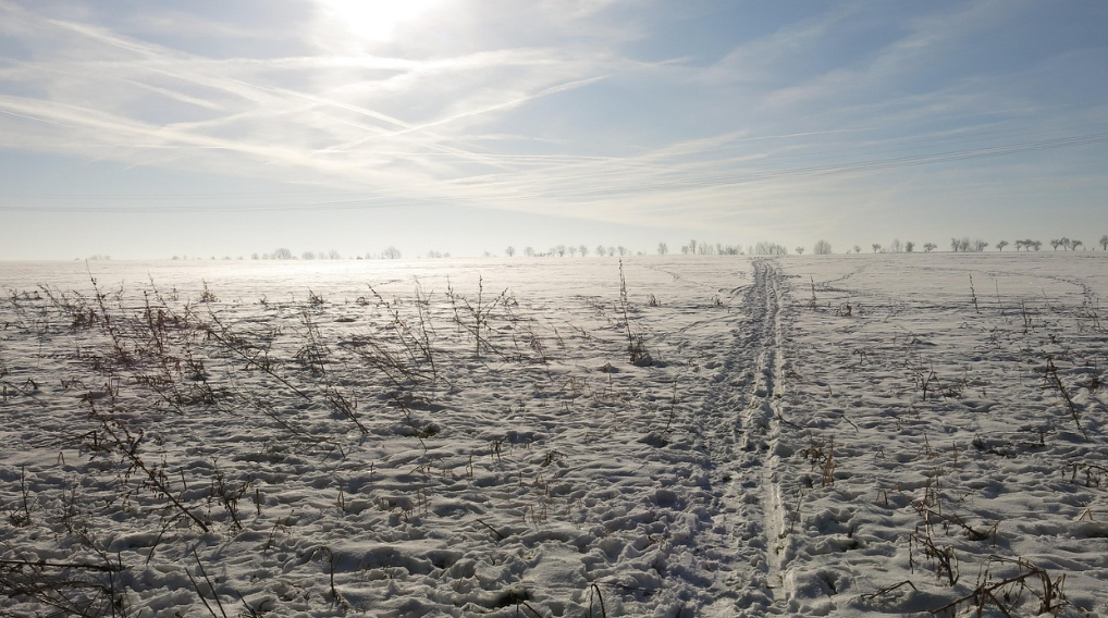전 세계에서 사라지는 직업 TOP 10 &ndash; AI와 자동화로 인해 사라질 직업과 대체 기술