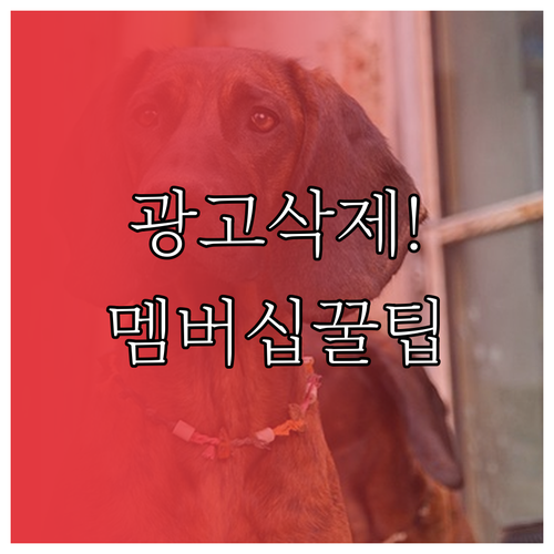 아이쉐어링 Life360 광고 없이 ..