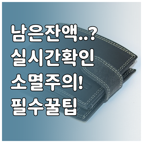 소상공인 바우처 잔액 실시간 확인법 ..