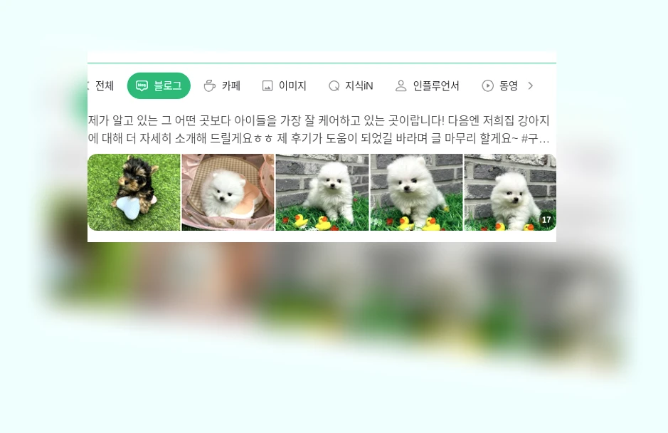 고양이 안전_1_subsection