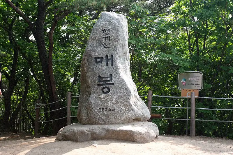 매봉 정상