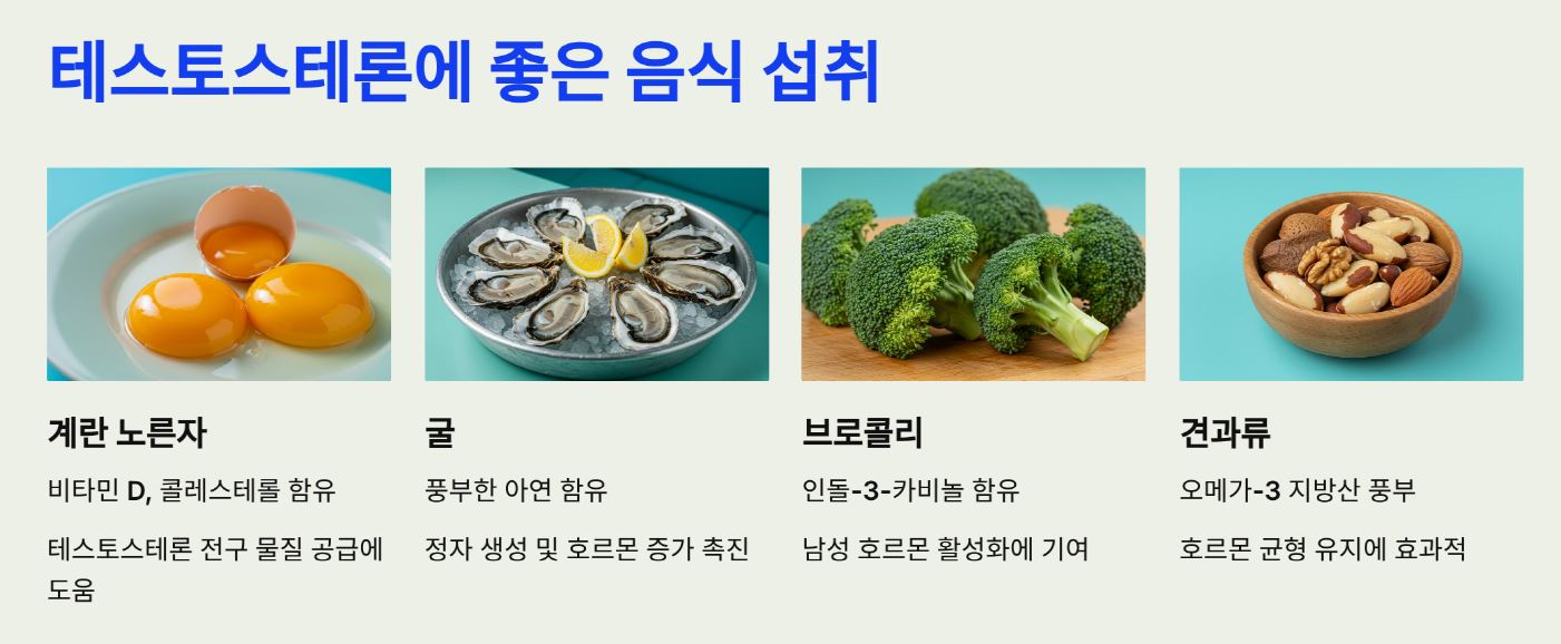 테스토스테론에 좋은 음식 섭취
