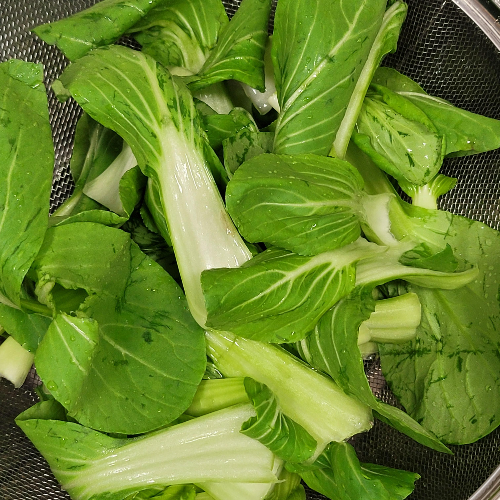 청경채 데치기 데치는 시간 보관법