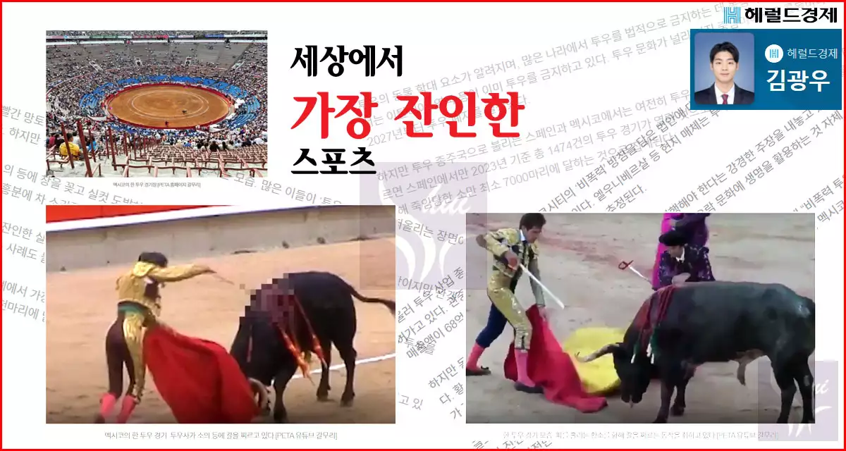 헤럴드경제 김광우 기자의 기사 내용