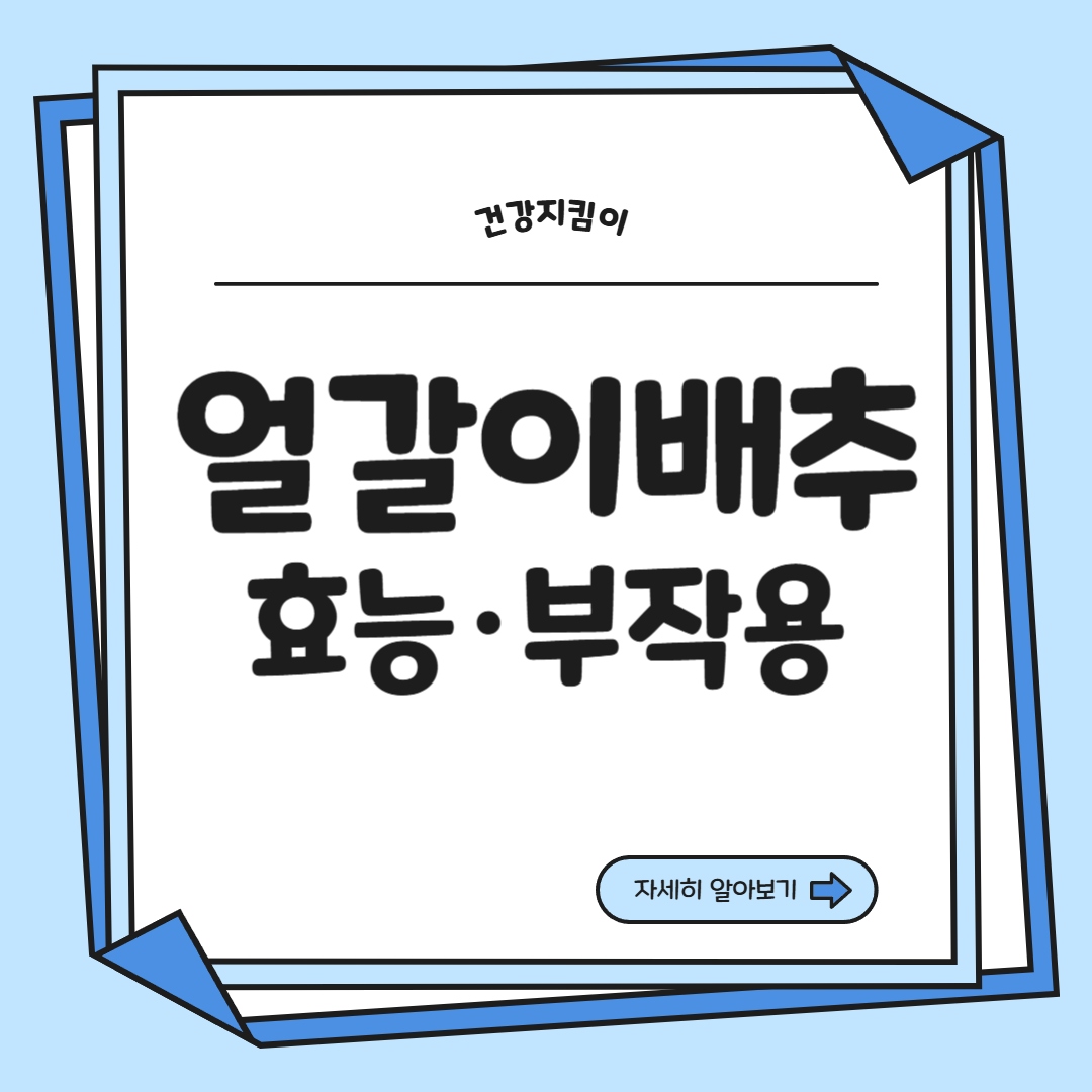 얼갈이 배추 효능 부작용 영양소 먹는방법