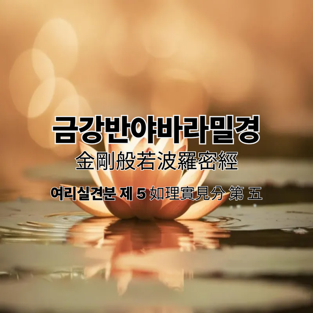금강반야바라밀경 - 금강경