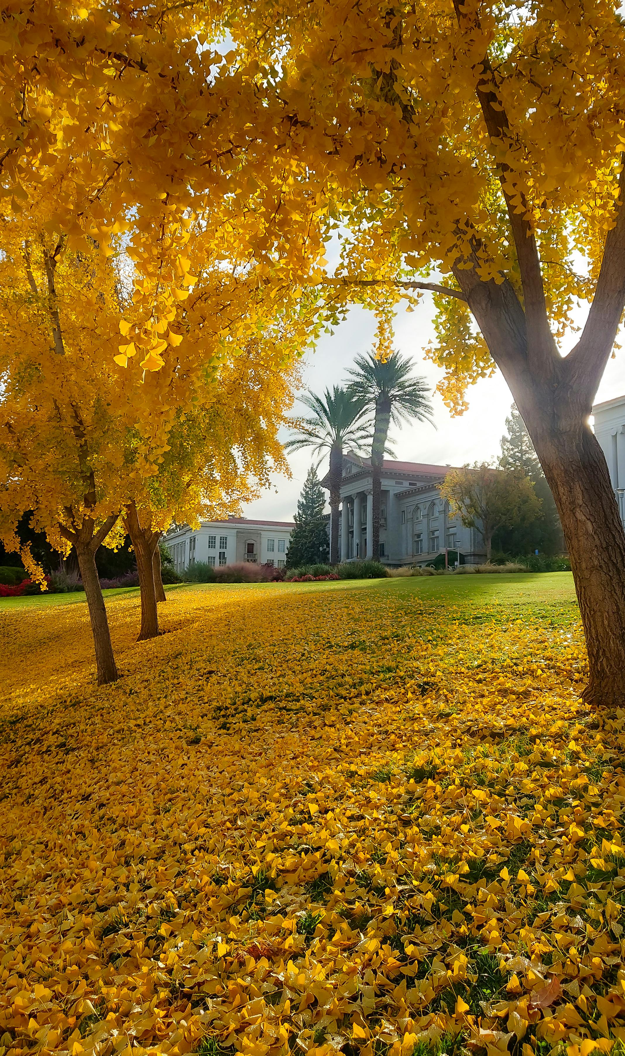 사우스다코타 대학교 사진