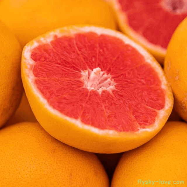 신진대사를 높여주는 자몽