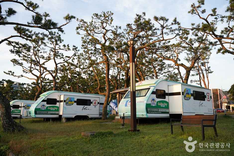 경주 오류고아라해변