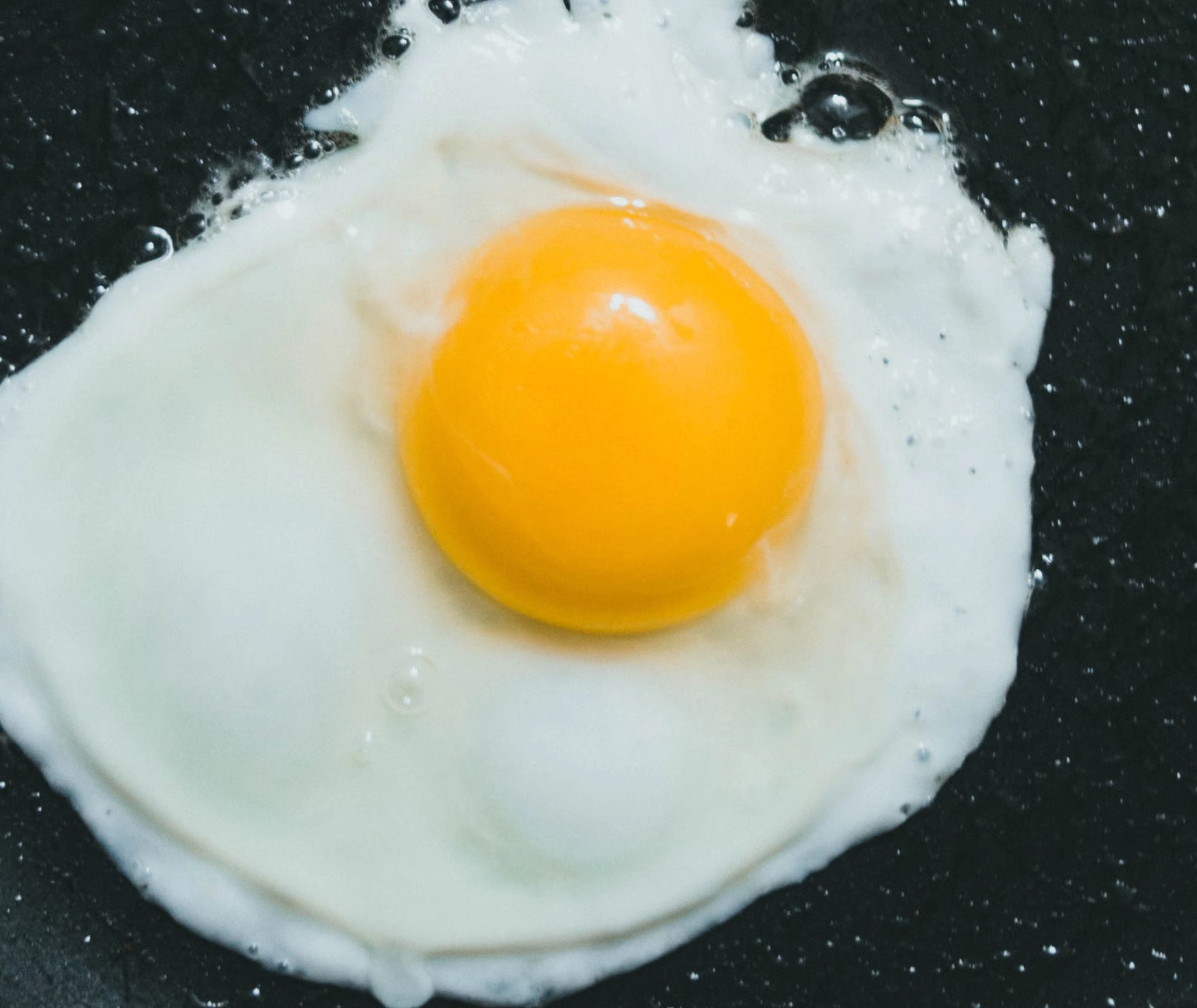 성장기 키크는 음식