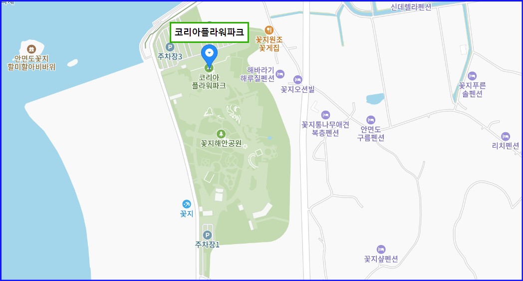 태안 세계튤립 축제 가는길 입장료 개화율