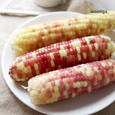 옥수수 맛있게 삶는 방법