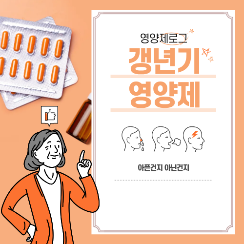 국내 갱년기 영양제 5가지 비교|성분·효과·추천 대상