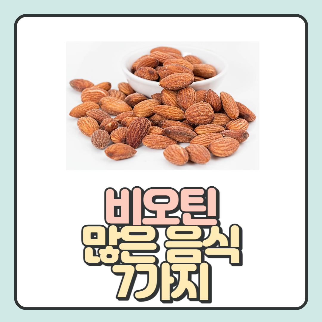 비오틴-많은-음식
