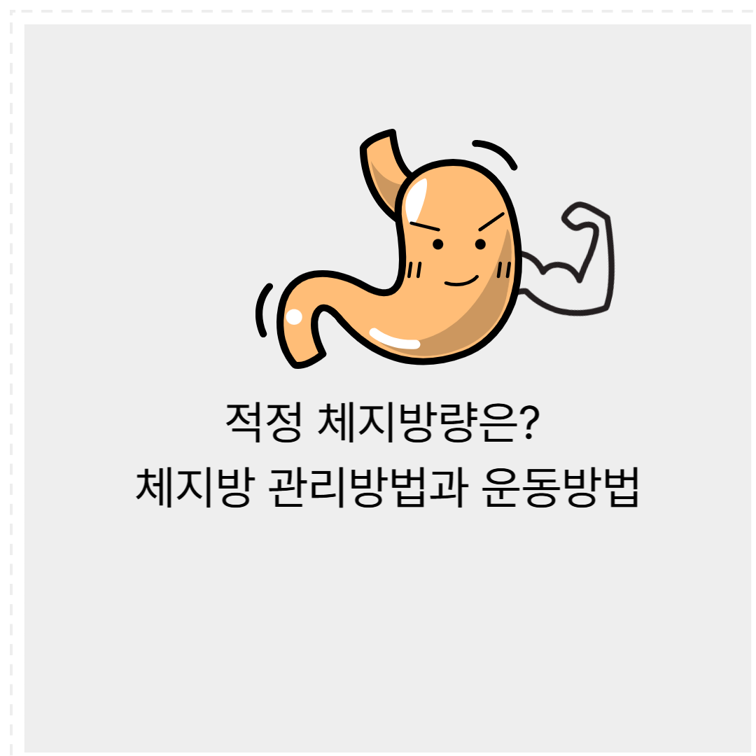 체지방 관리방법과 운동방법