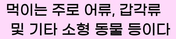  먹이는 주로 어류, 갑각류 및 기타 소형 동물 등이다