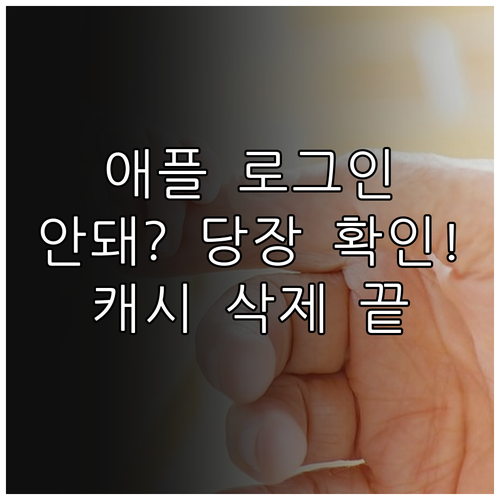 애플 서버 상태 확인 및 시스템 캐시..