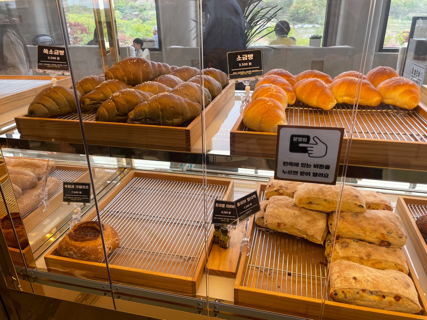 용인 자작나무숲 베툴라 대형 베이커피 카페