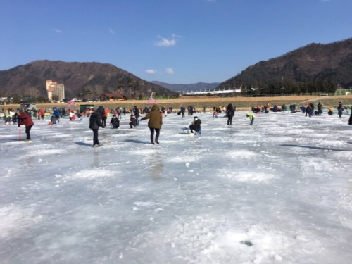 평창송어축제 현장