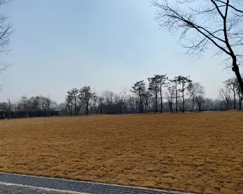 난지캠핑장 프리 캠핑존_1