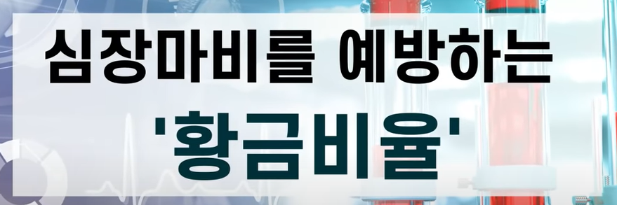 닥터조의 건강이야기 중에서