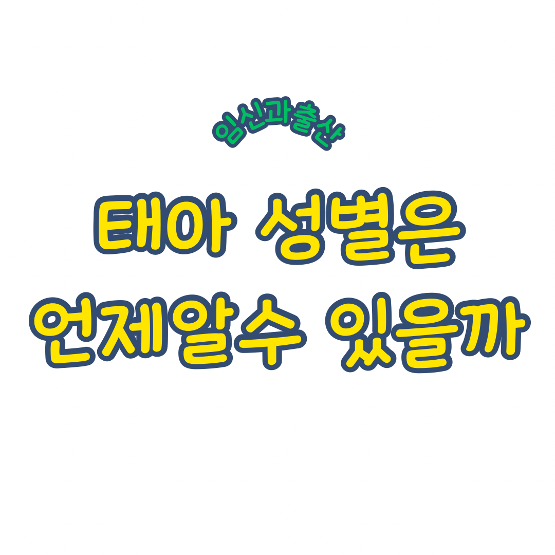 태아 성별 알수 있는 시기 태아의 주수별 발달 과정