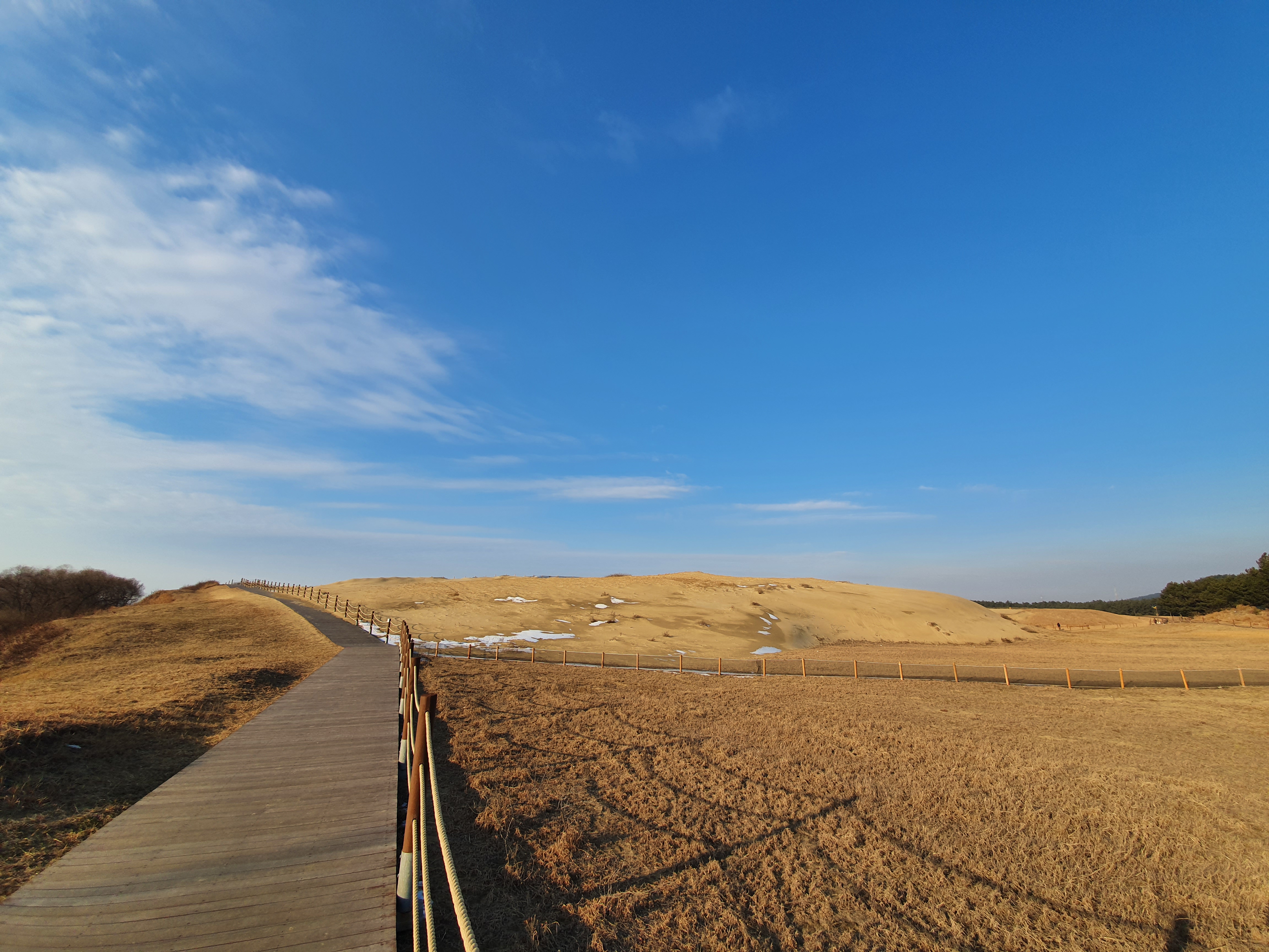 신두리 해안사구