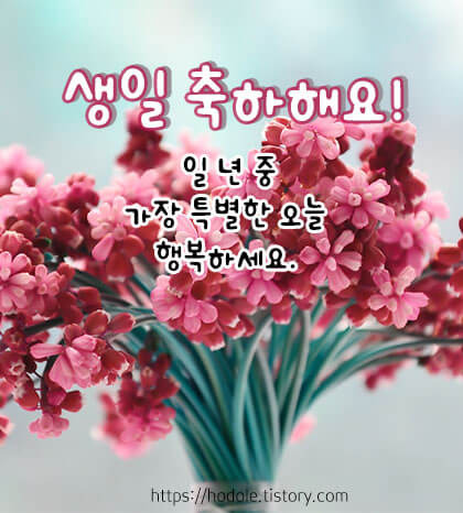 생일축하 메세지 문구 이미지 모음집3