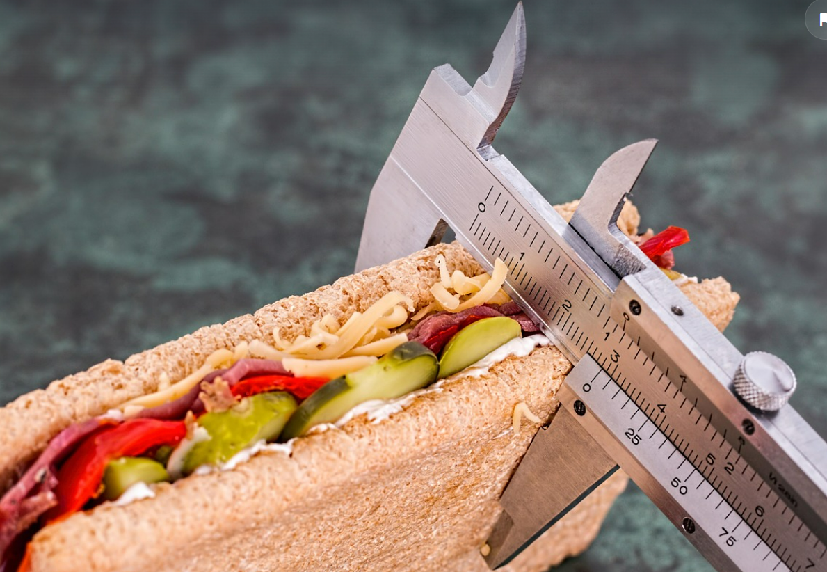 고단백 다이어트 식사