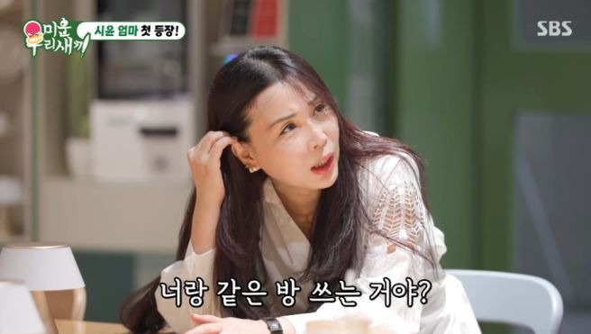 윤시윤 엄마