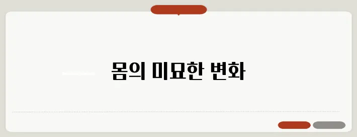 임신 초기 증상 한번 정확하게 알아보도록 하죠
