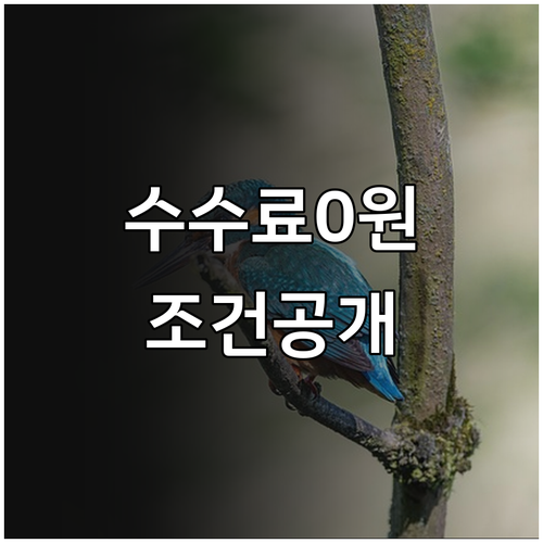 대한항공 일정 변경 시 취소 수수료 ..