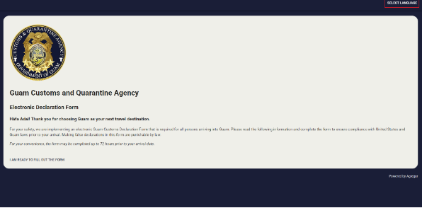 전자세관신고서