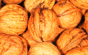 맥스컷 블루워터 주원료 l-카르니틴의 효능과 부작용