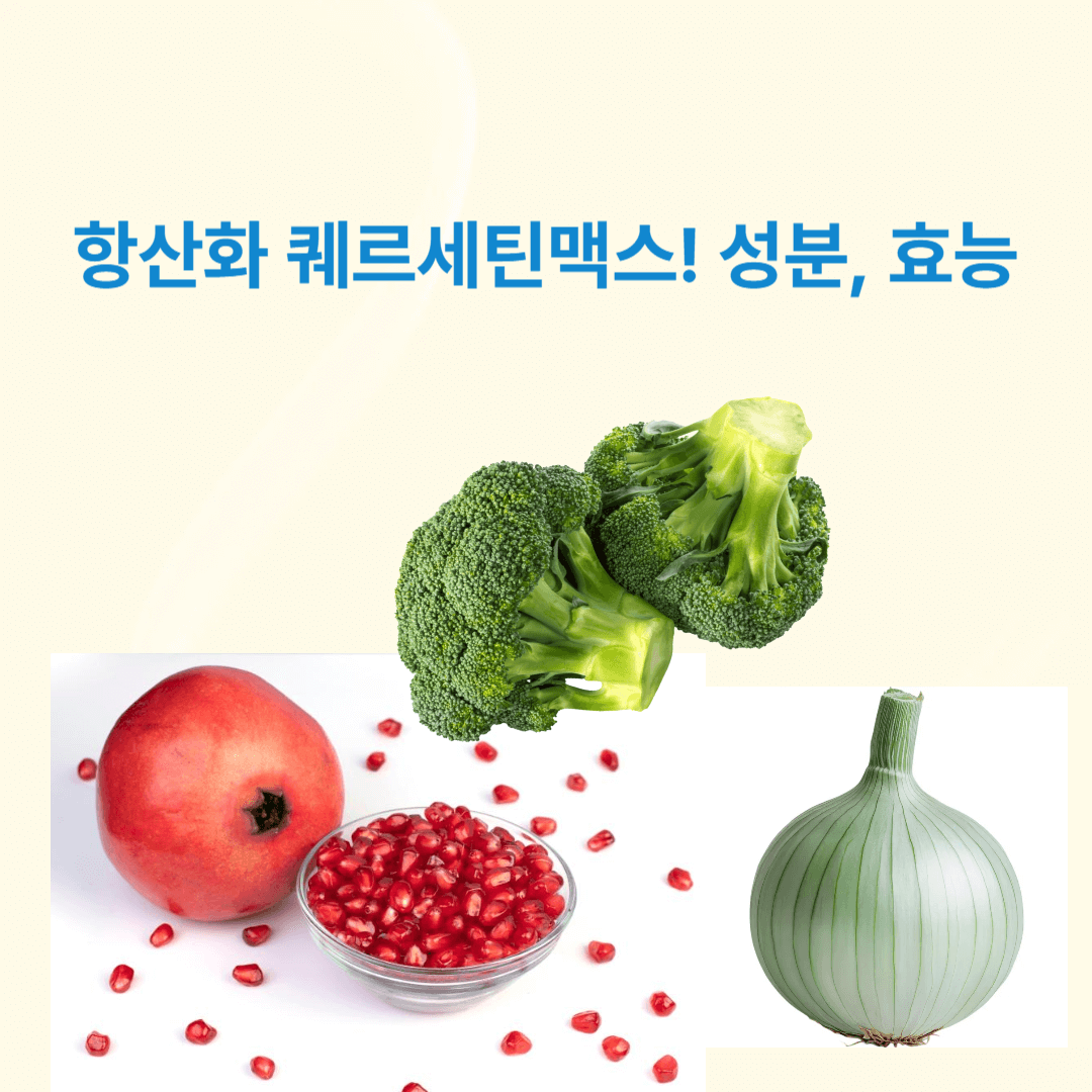 항산화 퀘르세틴맥스 성분, 효능