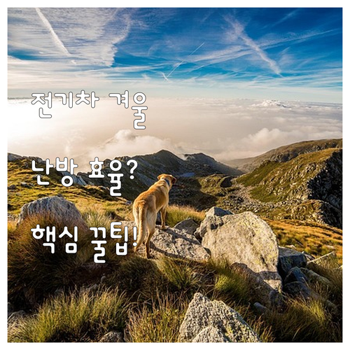 전기차 히트펌프 겨울철 난방 효율을 ..