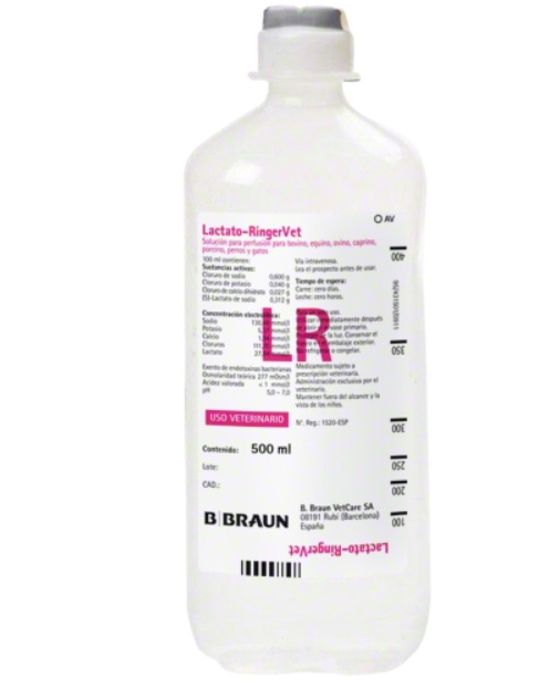 영양제 링거 효과