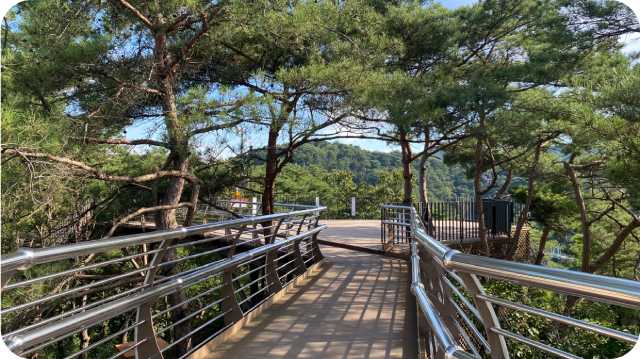 원주 소금산 데크산책로