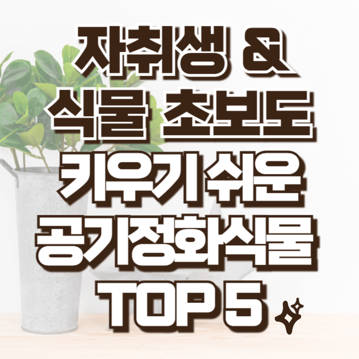 자취생 식물 초보도 키우기 쉬운 공기정화식물들
