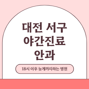 대전 서구 야간진료 늦게까지 하는 안과 병원 (18시 이후 늦게까지하는 병원)