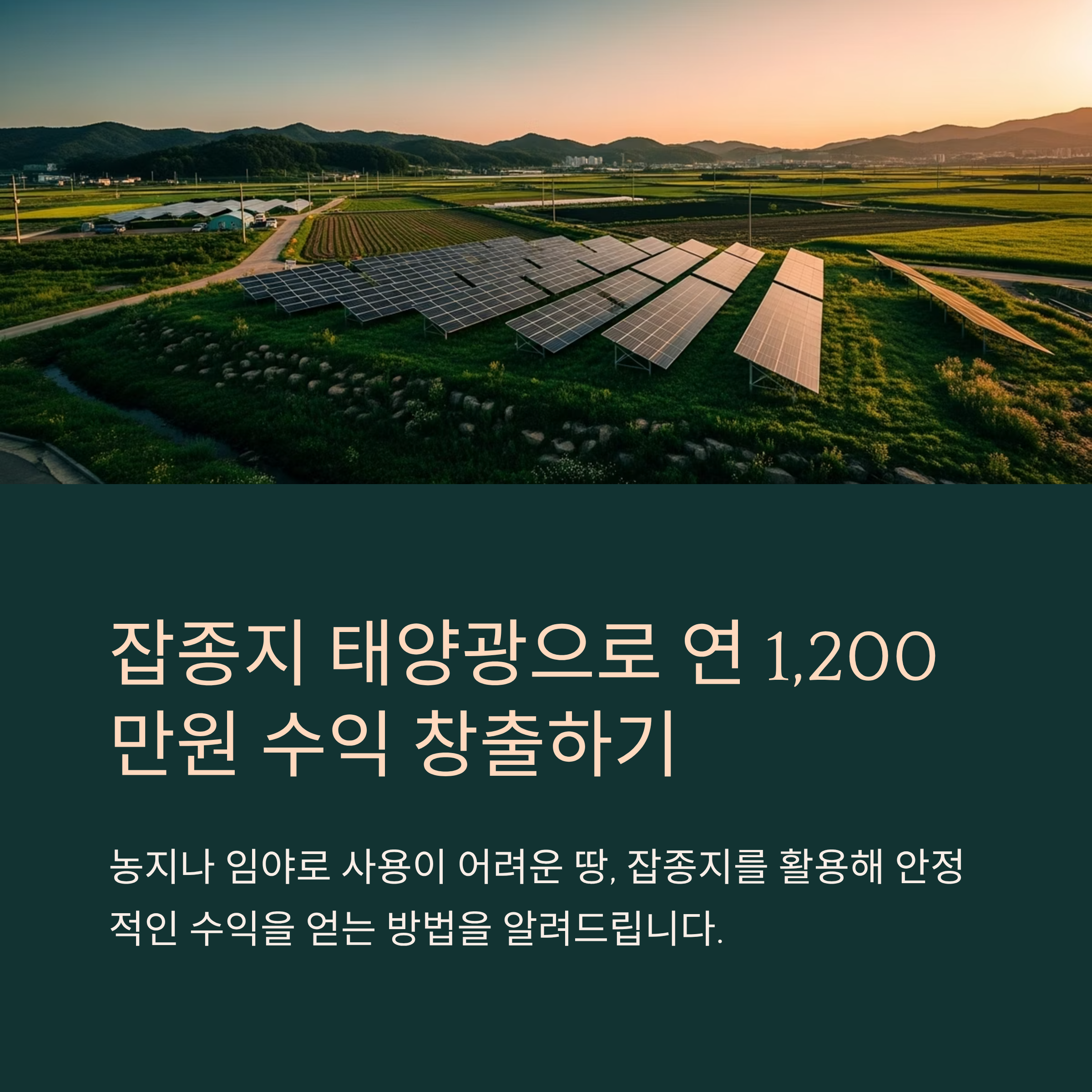 잡종지 태양광 설치로 연 1,200만 원 벌기