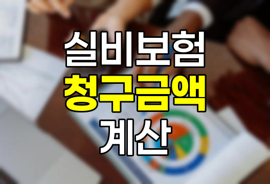 실비보험 청구금액 영수증별 계산 예시