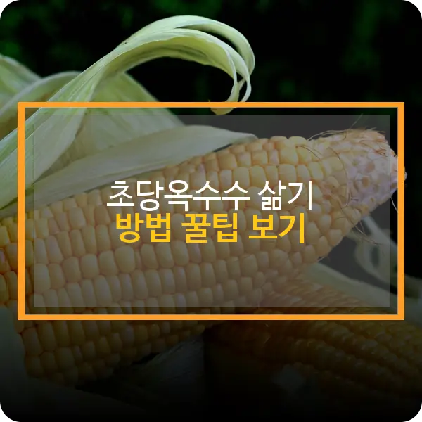 초당옥수수 삶기